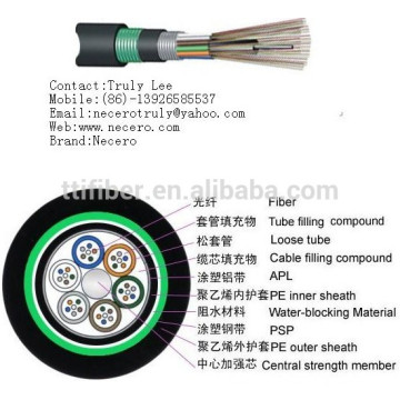 Bonne qualité 12 circuits en mode unique Extérieur G652D Résistance au FRP GYTA Armored Fiber Optic Cable Meter Price